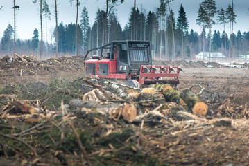 Tree Services